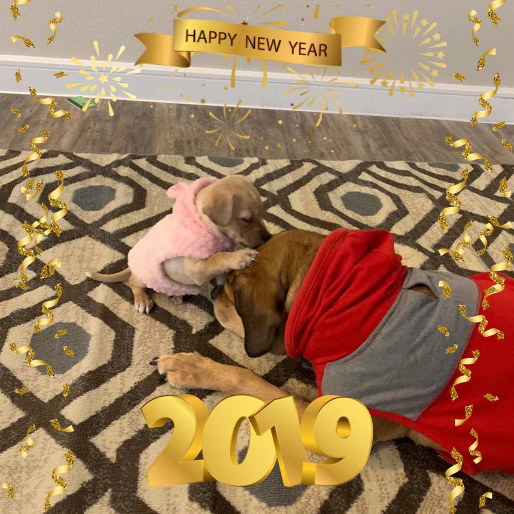 Meet your Posher, Dorie